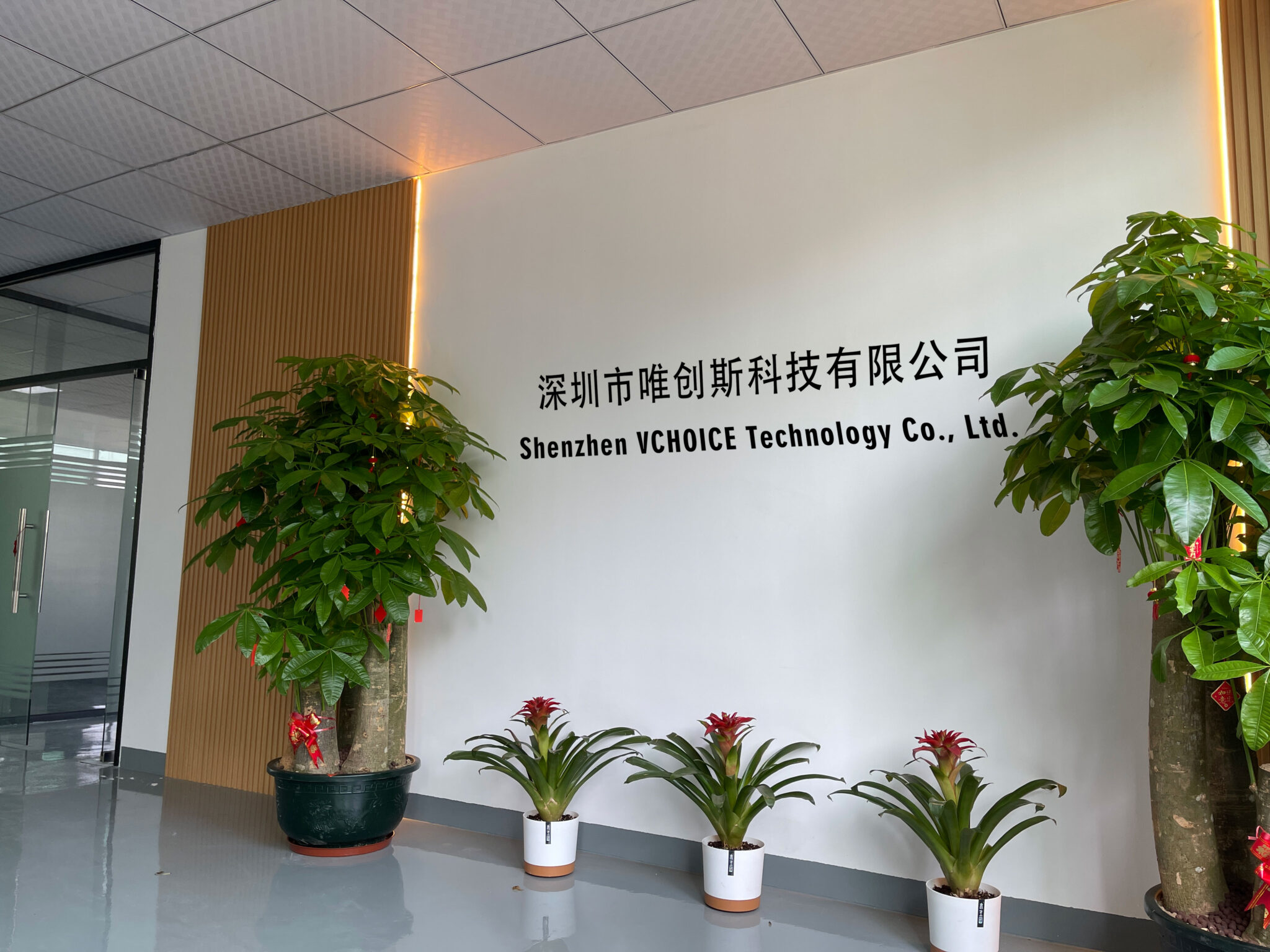 Shenzhen VCHOICE technology Co., Ltd.